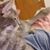 Joe Bodin's profile image