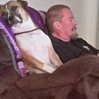 Rick Neese's profile image