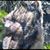 Dawn Michele Brunner's profile image