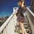 Catya Agassi's profile image
