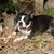 Phyllis Bertomeu Priddy's profile image
