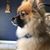 Stacy Kearney Spalding's profile image