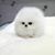 Phyllis Fetsch's profile image
