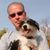 David M Brown's profile image