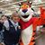 Trina Ottinger Interrante's profile image