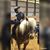Stacey Fleming's profile image