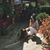 Manuela Montoya H's profile image