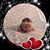 Karen A. Goodlet's profile image
