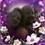 Patricia Lynn Hendley's profile image