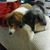 Denise Littrell's profile image