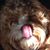 Karen Rodemoyer's profile image