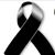 Luz Maria Gallegos's profile image