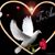 Carlos Alberto Cuenca's profile image