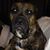 Ric Lewis's profile image