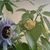 Deborah Watts's profile image