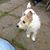 Patricia Spiker's profile image