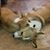 Melinda Acra Givans's profile image