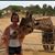 Jenni Edwards's profile image