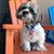 Karen Anhouse- Fox's profile image