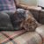 Charles Haldane Rodney's profile image