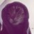 Samantha Schlecht's profile image