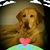 Warren Leslie Bobbitt's profile image