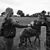 Amanda Vannostrand's profile image
