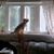 Judy Coppola's profile image