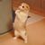 Dorian Laetari's profile image