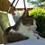 Jonnie L Thornton's profile image