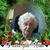 Marcella Van Poucke-Choquette's profile image