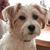 Judy Broughton-Batton's profile image
