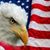 Bob Frick's profile image