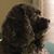 Erika Halboth's profile image