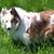Charlene Peet Rowe's profile image