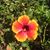 Terri Wood Steen's profile image