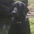 Mike Walker's profile image