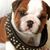 Tami Duvall's profile image