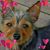 Lorraine Riemann's profile image