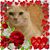 Deborah Weaver's profile image