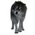 David Eggenberger's profile image
