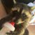 Carla English Parmer's profile image