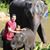 Brett Mellinger's profile image