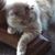Bobbiejo Wilkins's profile image
