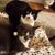Jenn Eckels Murray's profile image