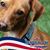 Gladys DiDia's profile image