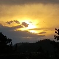 Jody Burtis's profile image