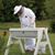 Kelly Milligan's profile image