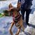 Andrea Vigen's profile image