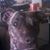 Biggie Snyder's profile image